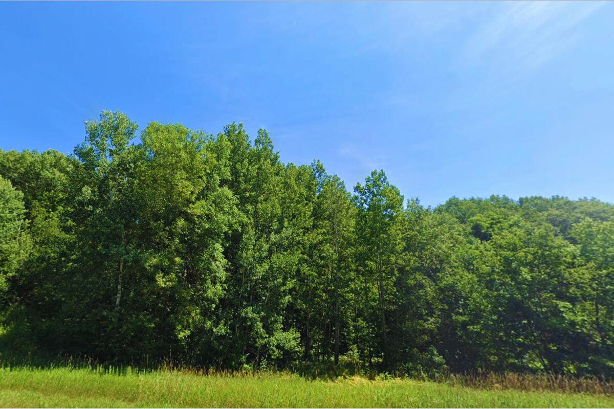 Diamond Drive #1 - Diamond Dr. Cushing, MN