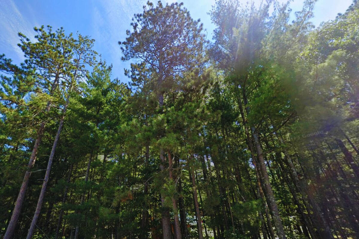 Diamond Drive #1 - Diamond Dr. Cushing, MN