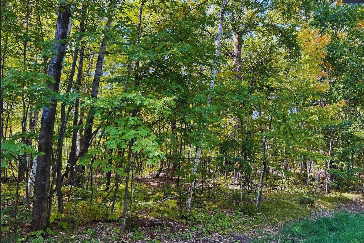 Diamond Drive #1 - Diamond Dr. Cushing, MN