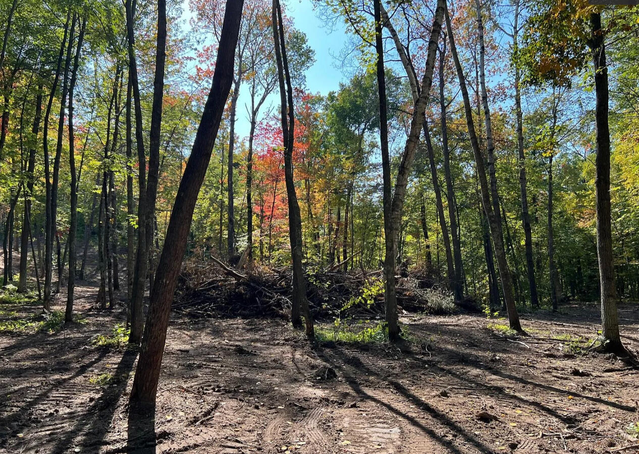 Diamond Drive #1 - Diamond Dr. Cushing, MN