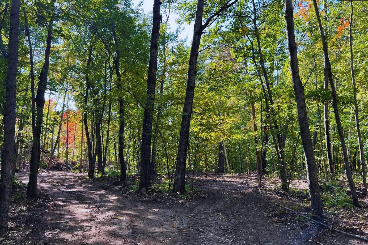 Diamond Drive #1 - Diamond Dr. Cushing, MN