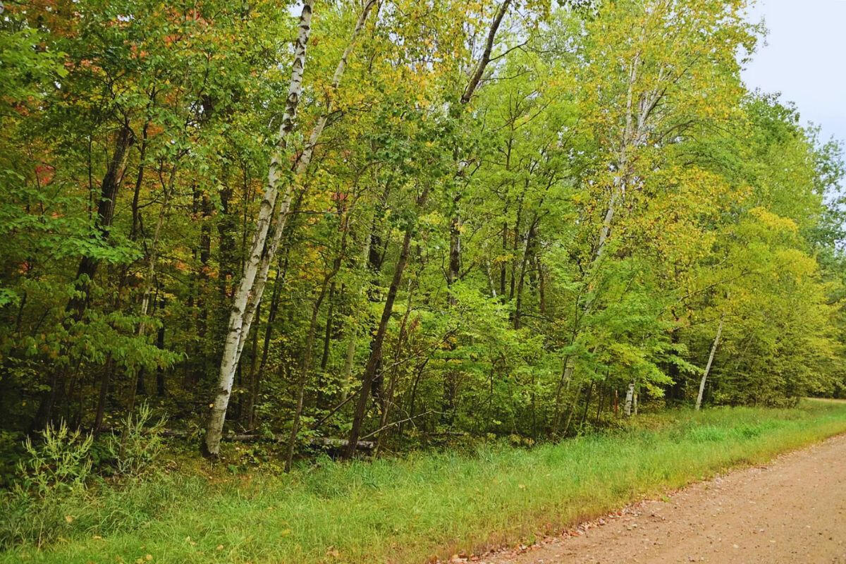 Diamond Drive #1 - Diamond Dr. Cushing, MN